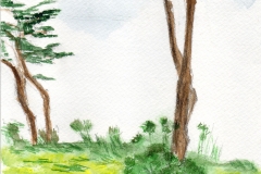 Arbre